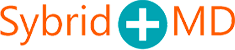 sybrid
                        